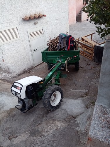 Goldoni rimorchio verde - goldoni, per