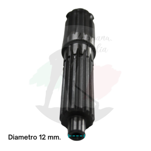 Goldoni albero asse - , di